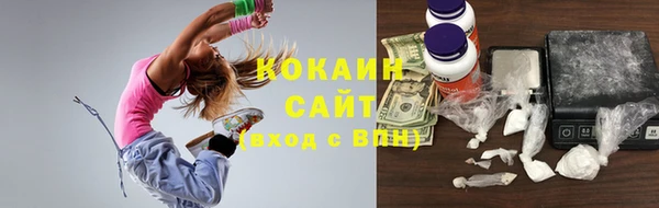 гидропоника Каменка