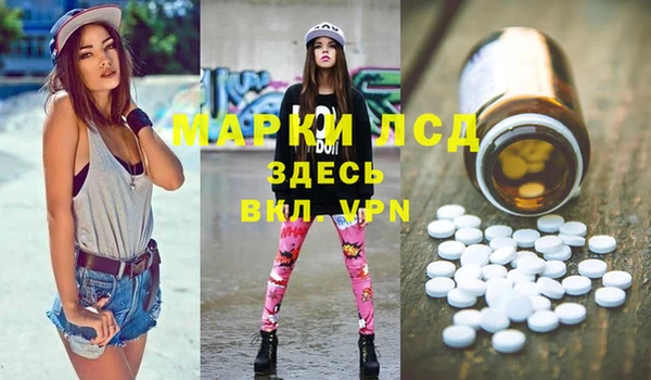 гидропоника Каменка