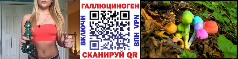 Купить где  Пугачёв  Галлюциногенные грибы GOLDEN TEACHER 
